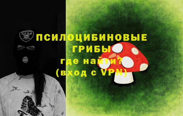 apvp Арсеньев