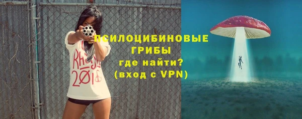 apvp Арсеньев